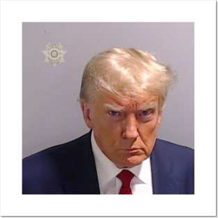 Donald Trump Mugshot Posters and Art